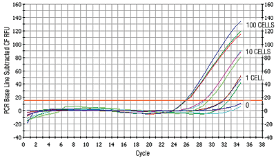 Pcr Amplification Curve