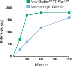 Figure 1. AmpliScribe T7-Flash transcription reaction is complete in 30 minutes and yields more RNA than other 2-hour high-yield transcription reactions.