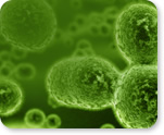 Cell culture contamination control