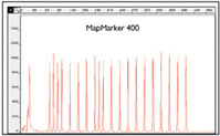 Mapmarker400