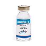 Ampicillin product image