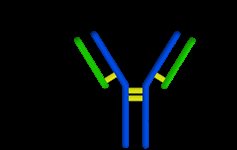 Human IgG Fc Aptamer to Human Protein Target product image