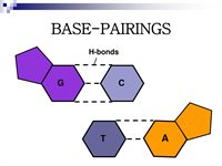 Tetanus product image