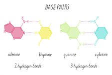 Unmodified product image