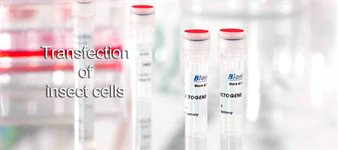 Insectogene&trade; Transfection Reagent product image