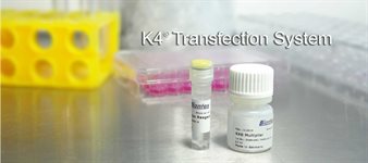 K4® Multiplier - Transfection Enhancer product image