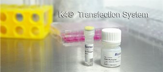 K4® Transfection System product image
