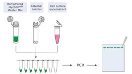 MycoSPY® Master Mix - PCR Mycoplasma Test Kit product image