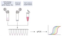 MycoSPY® qPCR Master Mix product image