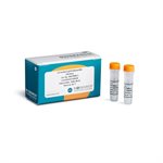 2X HotStart qPCR MasterMix product image