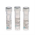 Ampligase&reg; Range product image