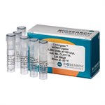 CircLigase™ ssDNA Ligase product image