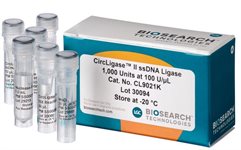 CircLigase&trade; II ssDNA Ligase product image