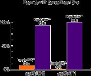 CopyCutter&trade; EPI400&trade; Electro- and chemically competent E. coli product image