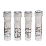 EZ-Tn5&trade; Transposase product image