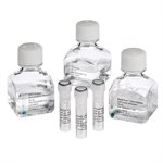 MasterPure&trade; Gram Positive DNA Purification Kit product image
