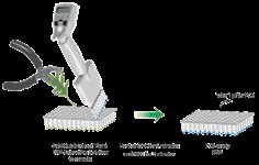 QuickExtract&trade; Plant DNA Extraction Solution product image