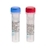 RapiDxFire Thermostable Reverse Transcriptase product image