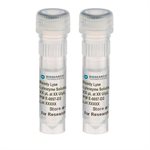 Ready-Lyse&trade; Lysozyme Solution product image