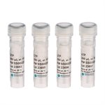 Ribonucleoside-5'-Triphosphate Solutions product image