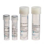 RNase I, <em>E. coli</em> product image