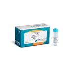 Salt Tolerant Nuclease product image