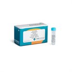 Thermostable Pyrophosphatase product image