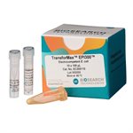 TransforMax&trade; EPI300&trade; Electro- or Chemically Competent E. coli product image