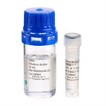 Uracil N-Glycosylase (UNG) product image