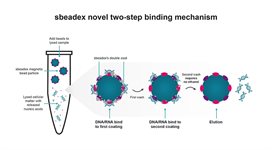 sbeadex™ pathogen nucleic acid purification kit product image