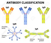 Antibodies - Others product image