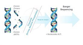 Cryophile DNase (heat-labile) product image