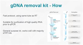 Cryophile gDNA Removal Kit  product image