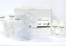 Cryophile Shrimp Alkaline Phosphatase PCR cleanup kit product image