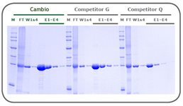Ni-NTA MagBeads  product image