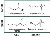 Q Agarose product image