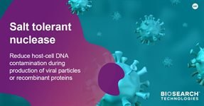 Salt-tolerant DNA & RNA Nuclease (heat-labile) product image