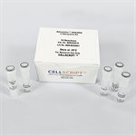 Adenylator™ DNA/RNA 5’-Adenylation Kit product image