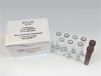 EZ-QC™ mRNA Cap 1 Efficiency Assay Kit product image