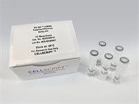 EZ-QC™ mRNA Capping Efficiency Assay Kit product image