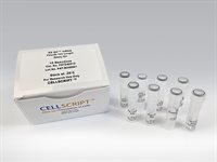 EZ-QC™ mRNA Poly(A) Tail Length Assay Kit product image