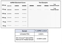 Min-Immune™ Gold dsRNA Removal Kit product image