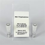 RNA 5’ Polyphosphatase product image