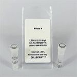 RNase H product image