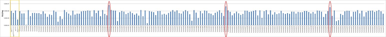 bEnd.3 Cell Avalanche™ Transfection Reagent (mouse brain endothelioma cell) product image