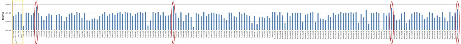 BHK-21 Cell Avalanche™ Transfection Reagent product image