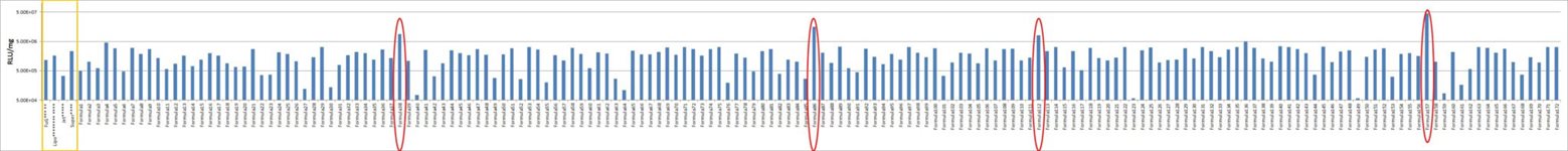 CCRF-CEM Cell Avalanche™ Transfection Reagent (human leukemia cell) product image