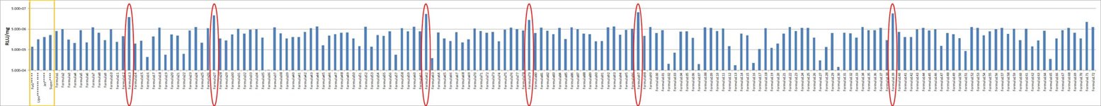 CHO Cell Avalanche™ Transfection Reagent product image