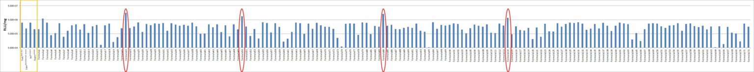 Daudi Cell Avalanche™ Transfection Reagent (human lymphoma cell) product image