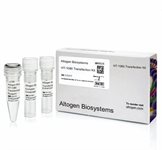 HT-1080 Cell Avalanche™ Transfection Reagent (human fibrosarcoma cell) product image
